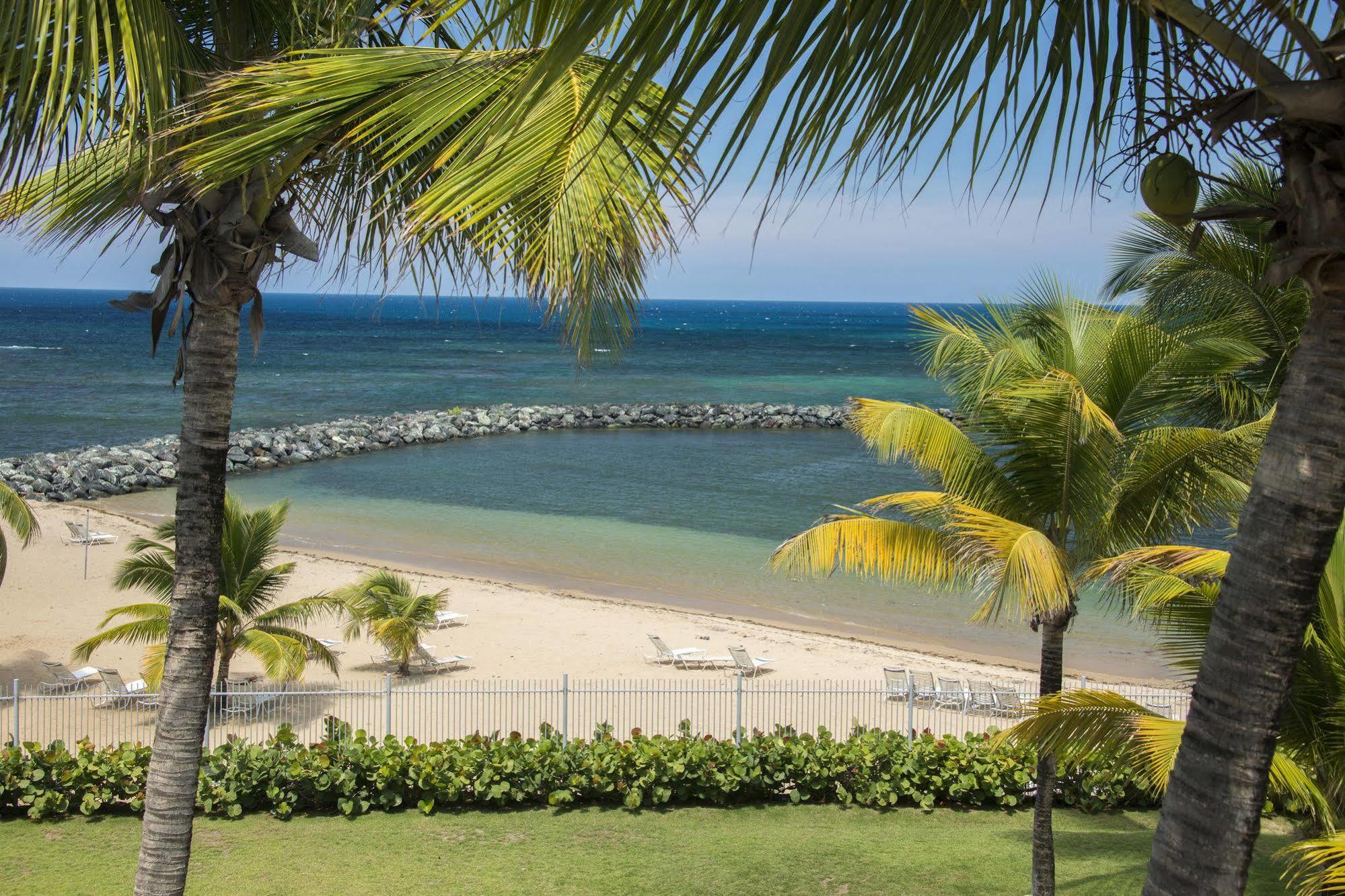 Aquarius Vacation Club At Dorado Del Mar Hotel Eksteriør billede
